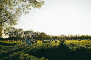 Miasto nie śpi: nocne życie w Berlinie